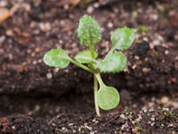 Whether buying or selling real estate, you can rely on our soil testing services to provide needed assurance